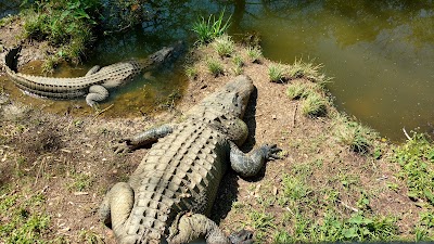 Hattiesburg Zoo