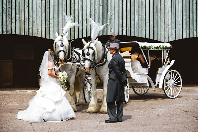 Jenny Harper Photography - Photography studio