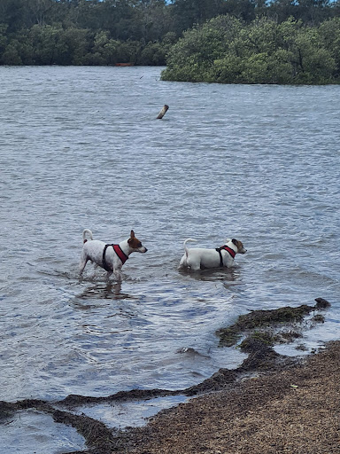 Blackalls Park Dog Exercise Area - Thumbnail