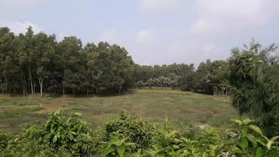 Photos of Gazipur City Corporation