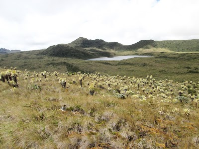 Photos of P&aacute;ramo De Las Delicias