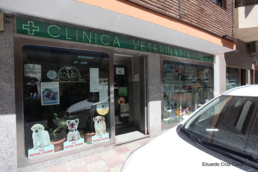 Clínica Veterinaria Pontes - Thumbnail