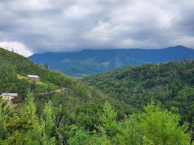 Treehouse Village