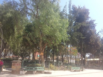 Photos of El Yugo. - Retaurant