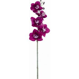 Photo n°4 de Serenity - Conciergerie pour location saisonnière Marseille à Marseille (Agence de location d'appartements)