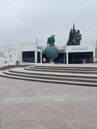 Museo Del Niño