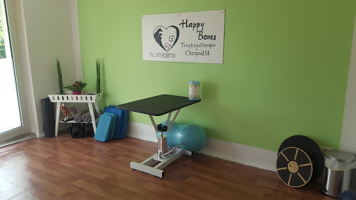 Happy Bones - Visual