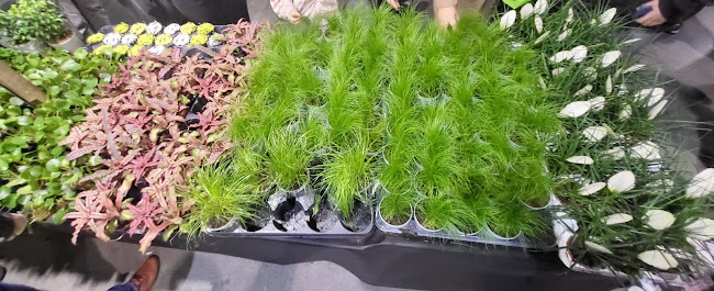 EXPO Kraków, Galicyjska 9, 31-587 Kraków