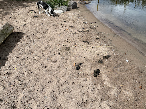 Hundbad/ Hundrastgård - Thumbnail