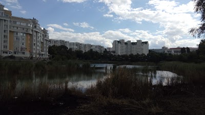 Photos of Parcul (lacul) Albișoara