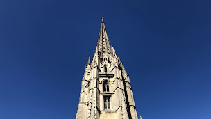 Photo n°21 de Bordeaux Visite à Bordeaux (Organisateur d’activités de plein air)