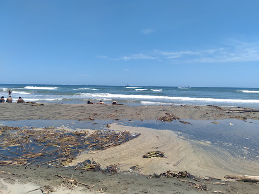 PUERTO CEIBA 1