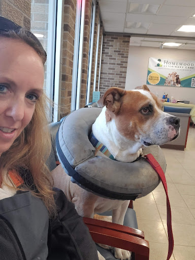 Homewood Veterinary Care