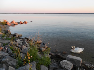 Photos of Black Lake State Forest Campground