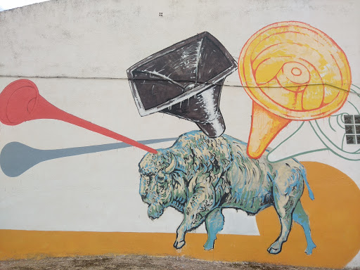 Búfalo - Visual