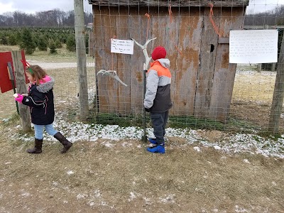 Photos of Galehouse Tree Farms