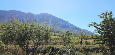 Kapinovë Berat