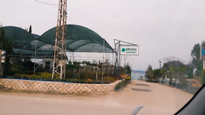 Park Peyzaj