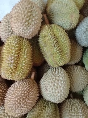 Durian Sentul kang miftah, Author: Miftah Bogor