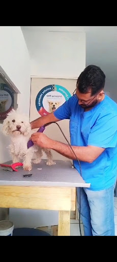 Clínica Veterinaria Peek