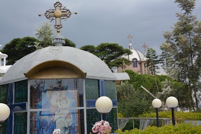 Photos of Mekanissa Abo Church