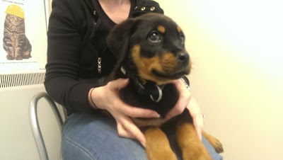 Photos of Longford Vet Hospital