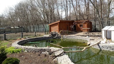Photos of Ivanovo Zoo