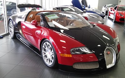 Photos of Naples Motorsports Inc.