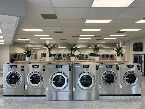 Flo Laundry - Visual