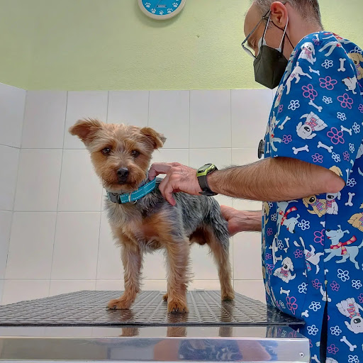 CLUB VETERINARIO Argos - Servicio de URGENCIAS veterinarias - Canillas - Hortaleza - Madrid