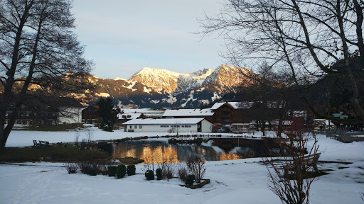 Schmolzbar - Visual