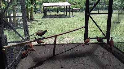 Photos of PARQUEO