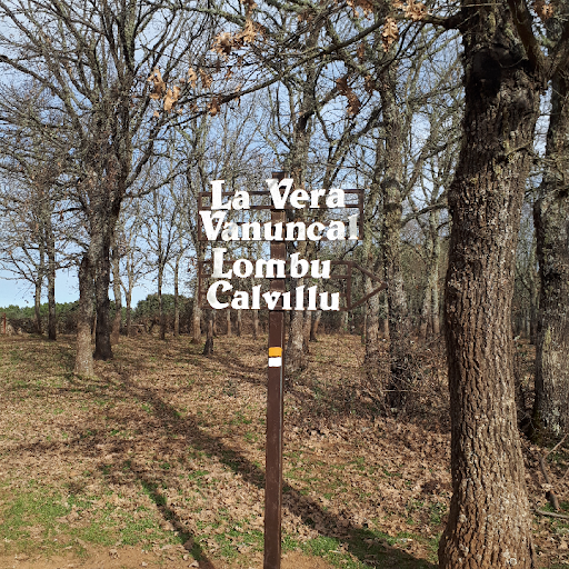 LA VERA VANUNCAL - LOMBU CALVILLU - Thumbnail