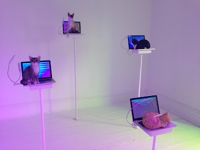 Photos of Mattress Factory Museum