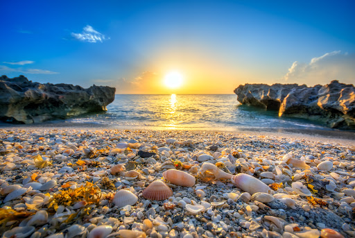 Home Sales Palm Beach - Thumbnail
