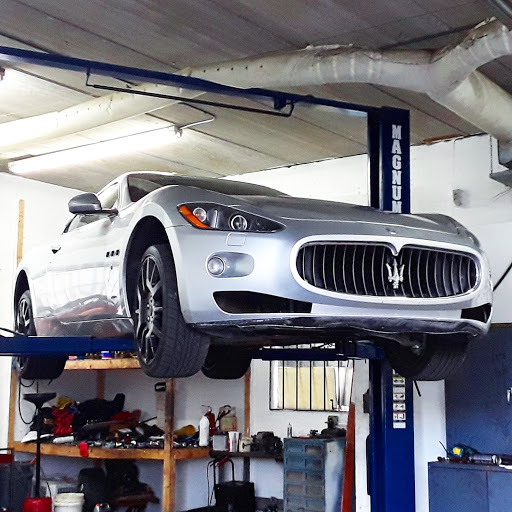 Martenson Performance LLC - Visual