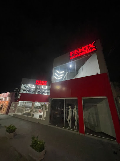Fenix Academia
