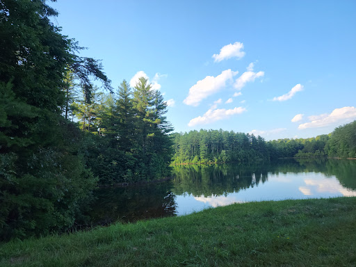 Perry State Forest - Visual