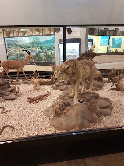 Photos of Tehran Biodiversity Museum