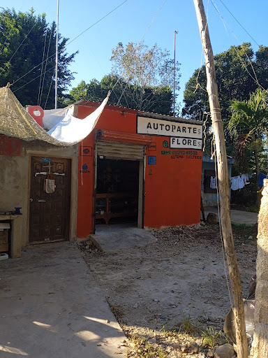 Refaccionaria y taller automotriz Flores