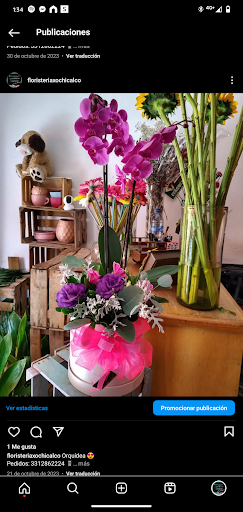 Floristería Xochicalco - Thumbnail