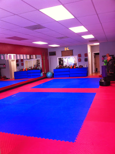 Chinese Boxing Institute - Thumbnail