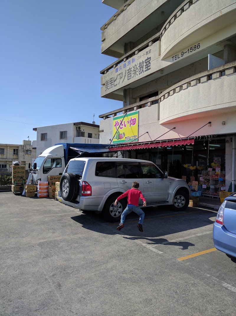 やさい畑 沖縄県沖縄市知花 八百屋 スーパー グルコミ