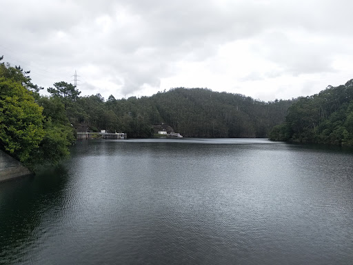 Presa de Arbón