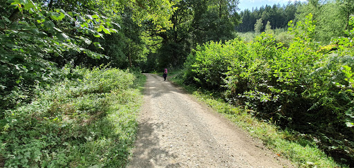Mortimer Forest - Visual