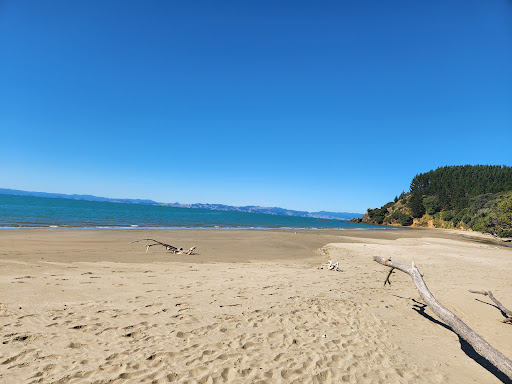 Tawhitokino Campground - Thumbnail