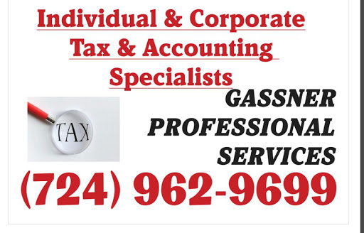 Gassner Professional Services Accounting Firm - Thumbnail