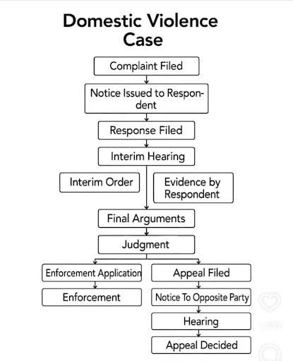Domestic violence Case Process post image