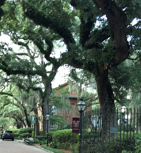 Towell Library - College of Charleston - Thumbnail
