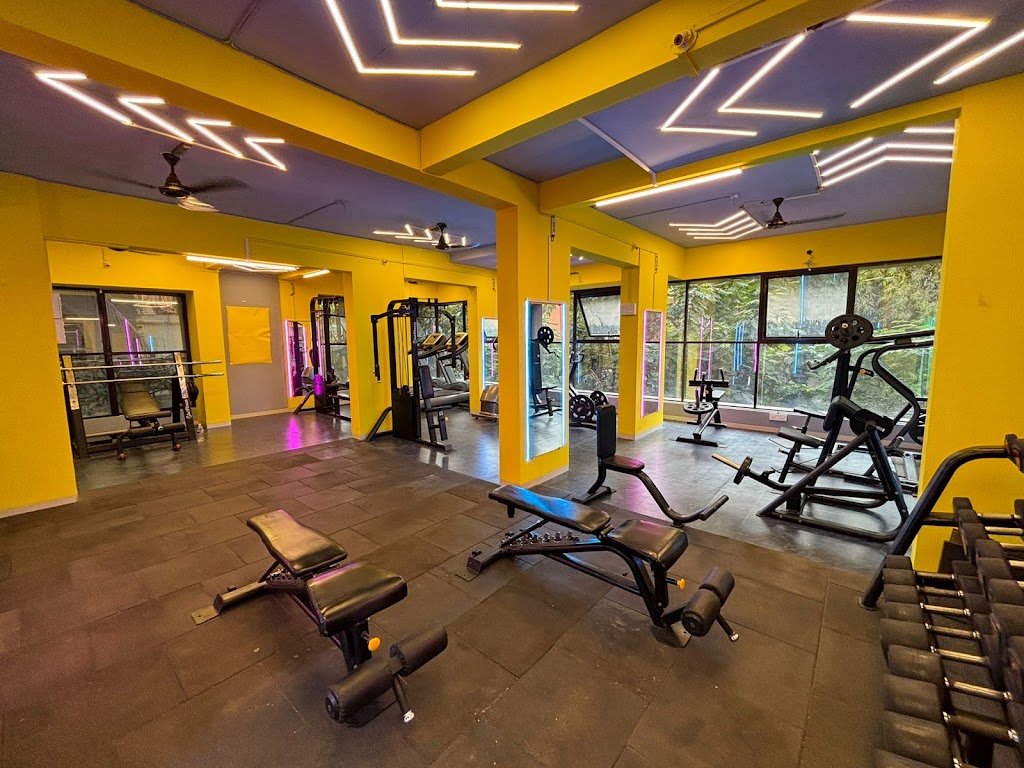The Box N Burn Fitness House